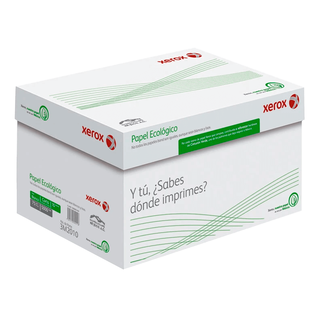 3M2010 CAJA