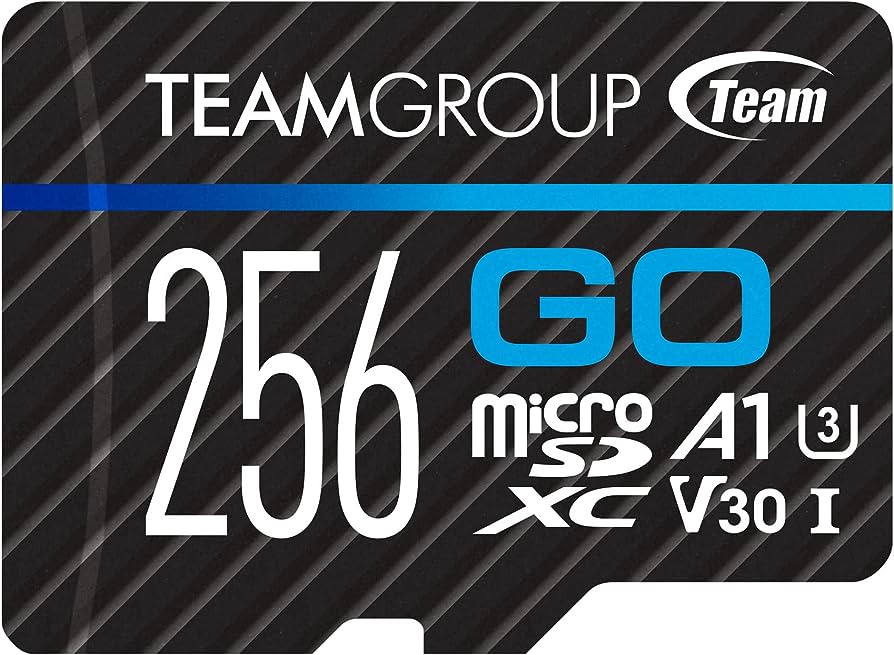 MEMORIA MICRO SD TEAMGROUP GO CARD 256GB 4K UHS I U3 100 MB S CON ADAPTADOR TGUSDX256GU303 - Código: TGUSDX256GU303 | Compra en Guadalajara