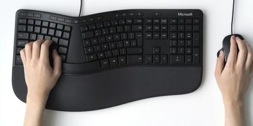MOUSE ERGONOMICO  LION ROCK - Microsoft