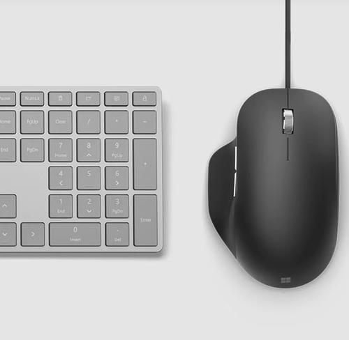 MOUSE ERGONOMICO  LION ROCK - Microsoft